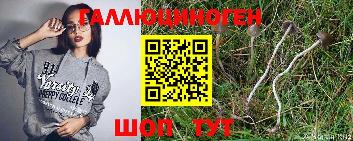 COCAIN  ГАШ  Мефедрон   A-PVP СК   МЕФ  Когалым  Вход с VPN  Бошки Шишки 