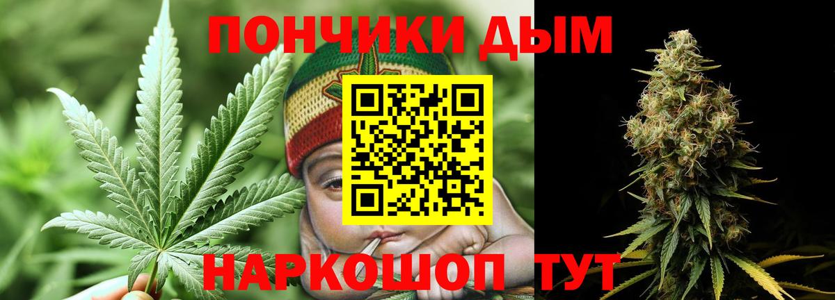 Каннабис семена  Каннабис Amnesia  МАРИХУАНА Amnesia  Вход с VPN  Когалым 